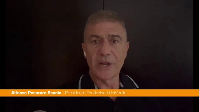 Pecoraro Scanio "Sicilia sia leader nell'innovazione EcoDigital"