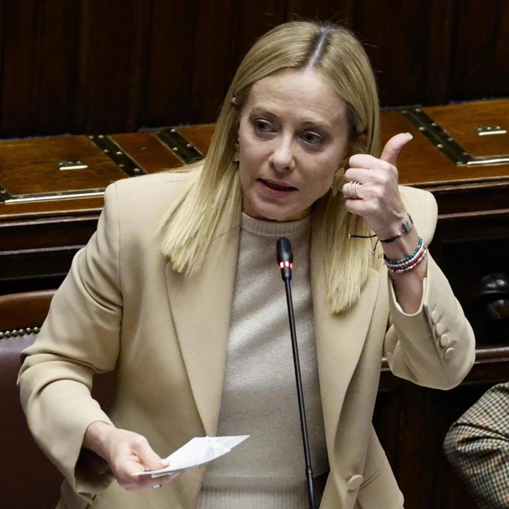 Meloni silura la legge sul green deal europeo