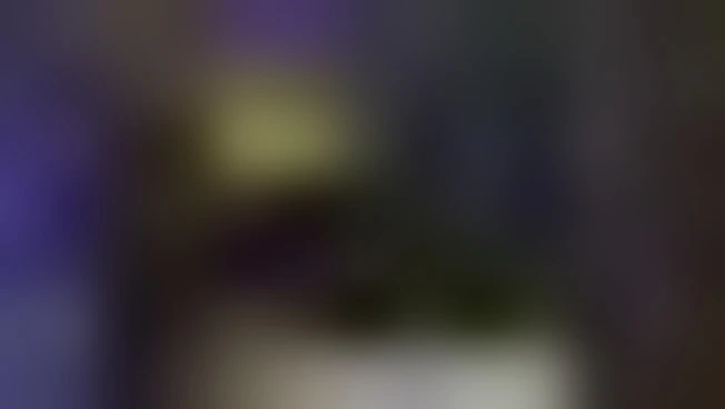 https://media.liberoquotidiano.it/uiK--k84i2WbJuqcw8QVWebLeVX4adxKewHV74lporE/width:800/quality:90/aW1hZ2VzLzIwMjUvMDkvMDUvMTIxNjE3NjQ5LTM3ZTIzYmUyLWI5ZTUtNGFhYi1hNjBjLWJkYzEwOWQ0MDkzZS5qcGc.webp
