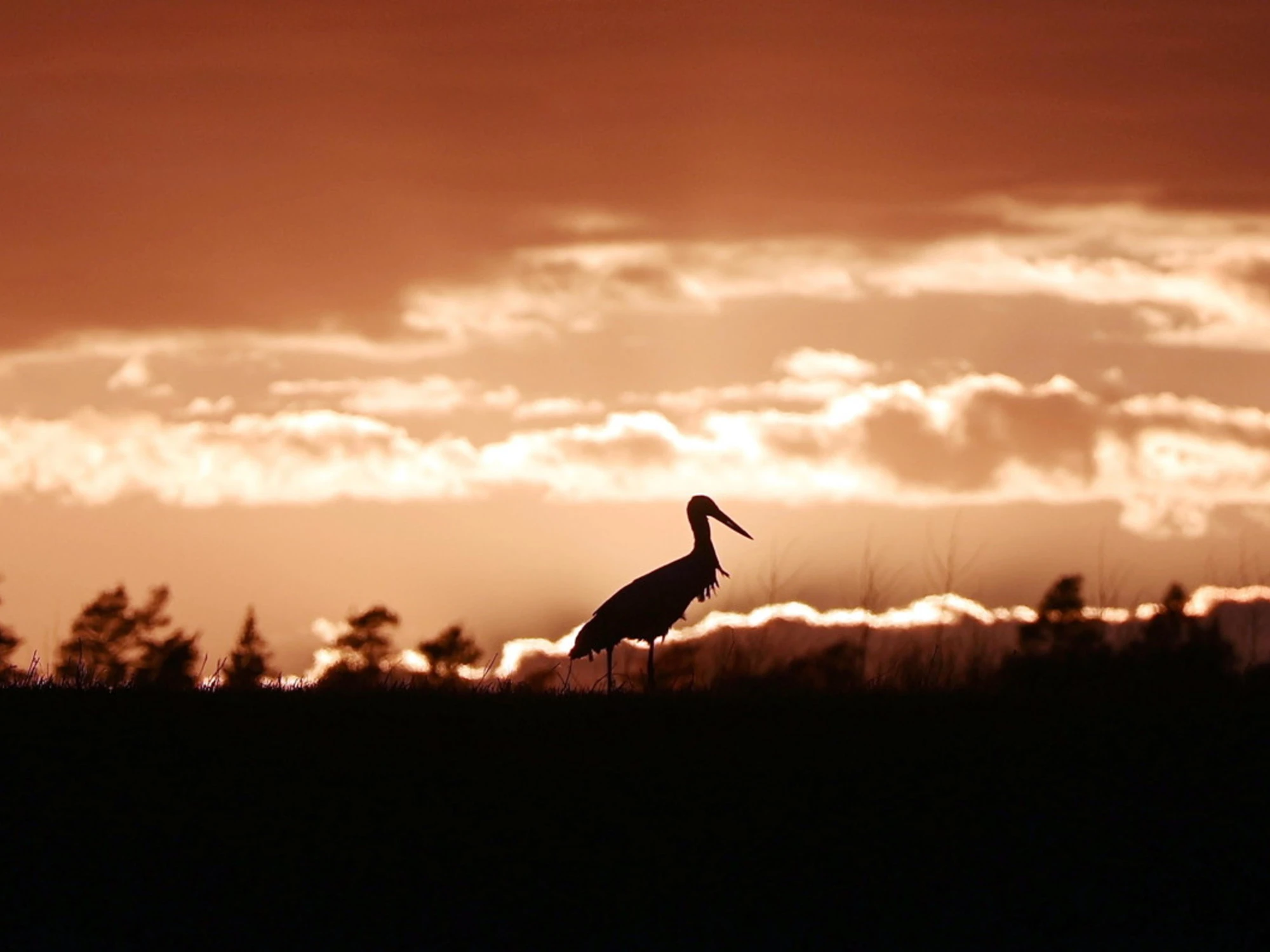 Meteo, addio anticiclone: come cambia il tempo da lunedì