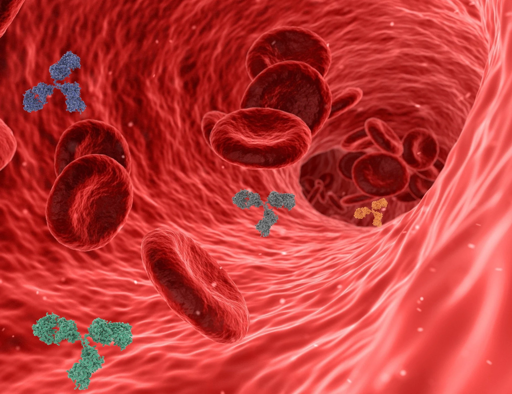 Melanoma, la proteina che ti condanna: come contagia tutto il corpo