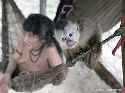 Metodi di sopravvivenza delle comunità tribali in armonia con la natura