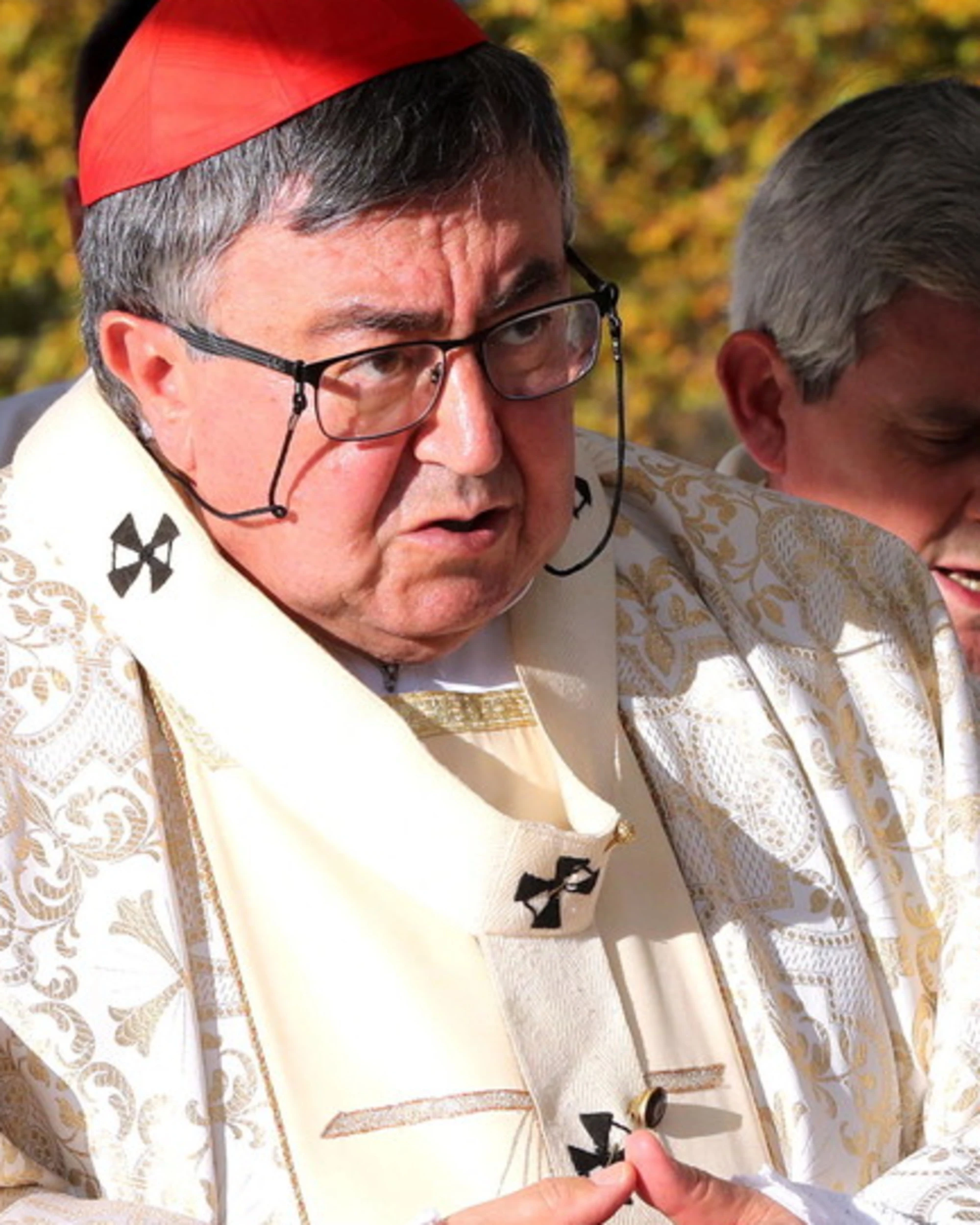 Conclave, Puljic assicura: "Con un aiuto ce la faccio"