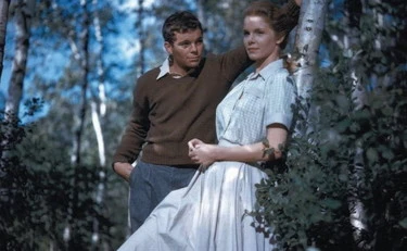 Lo scandaloso romanzo che ha svelato il lato oscuro della provincia americana