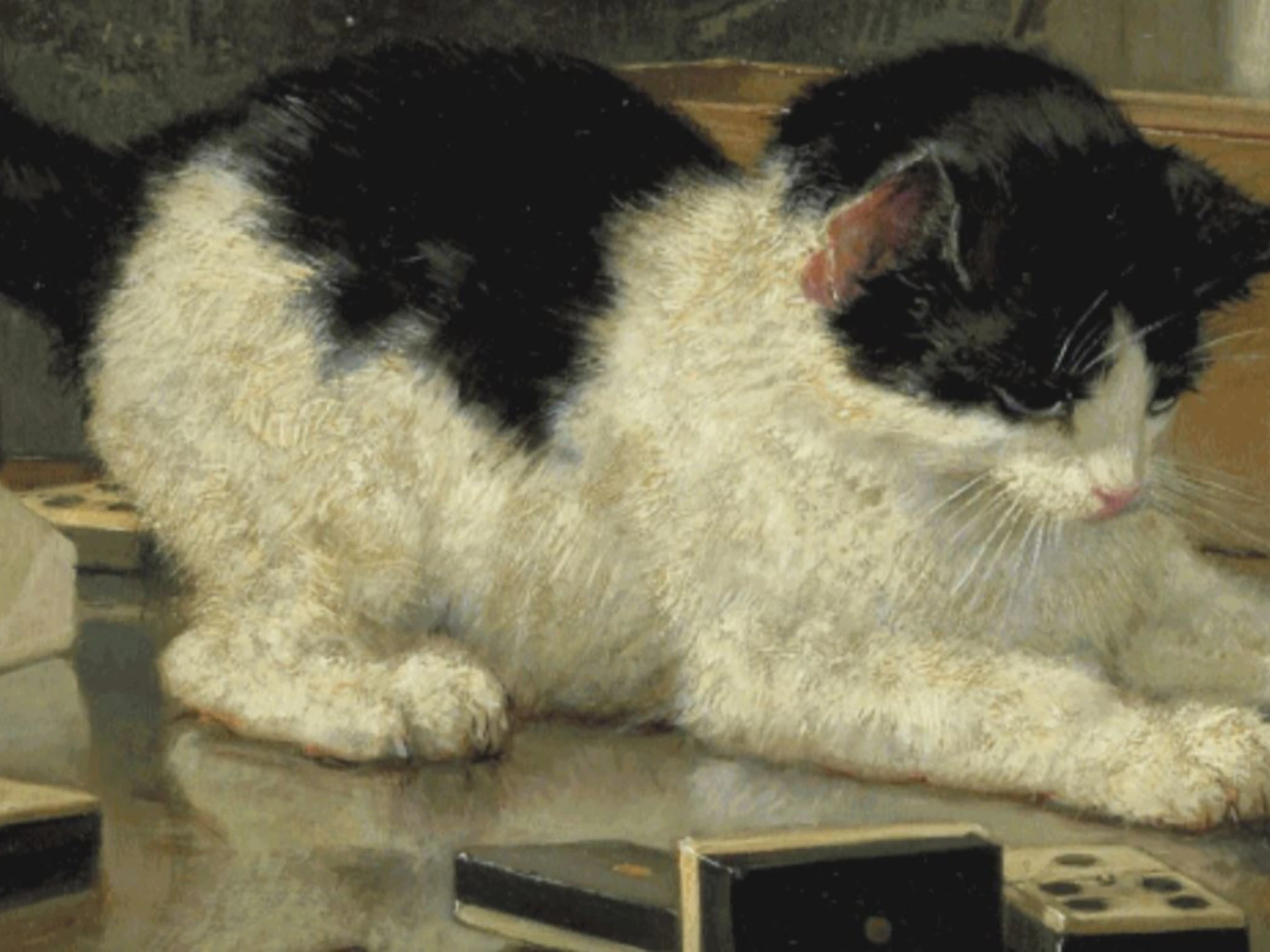 Quelle tigri domestiche che ci fan sentire domatori