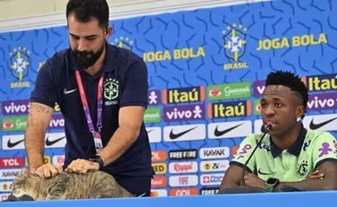 Mondiali 2026, Brasile eliminato? Colpa di un gatto. I tifosi ne sono convinti