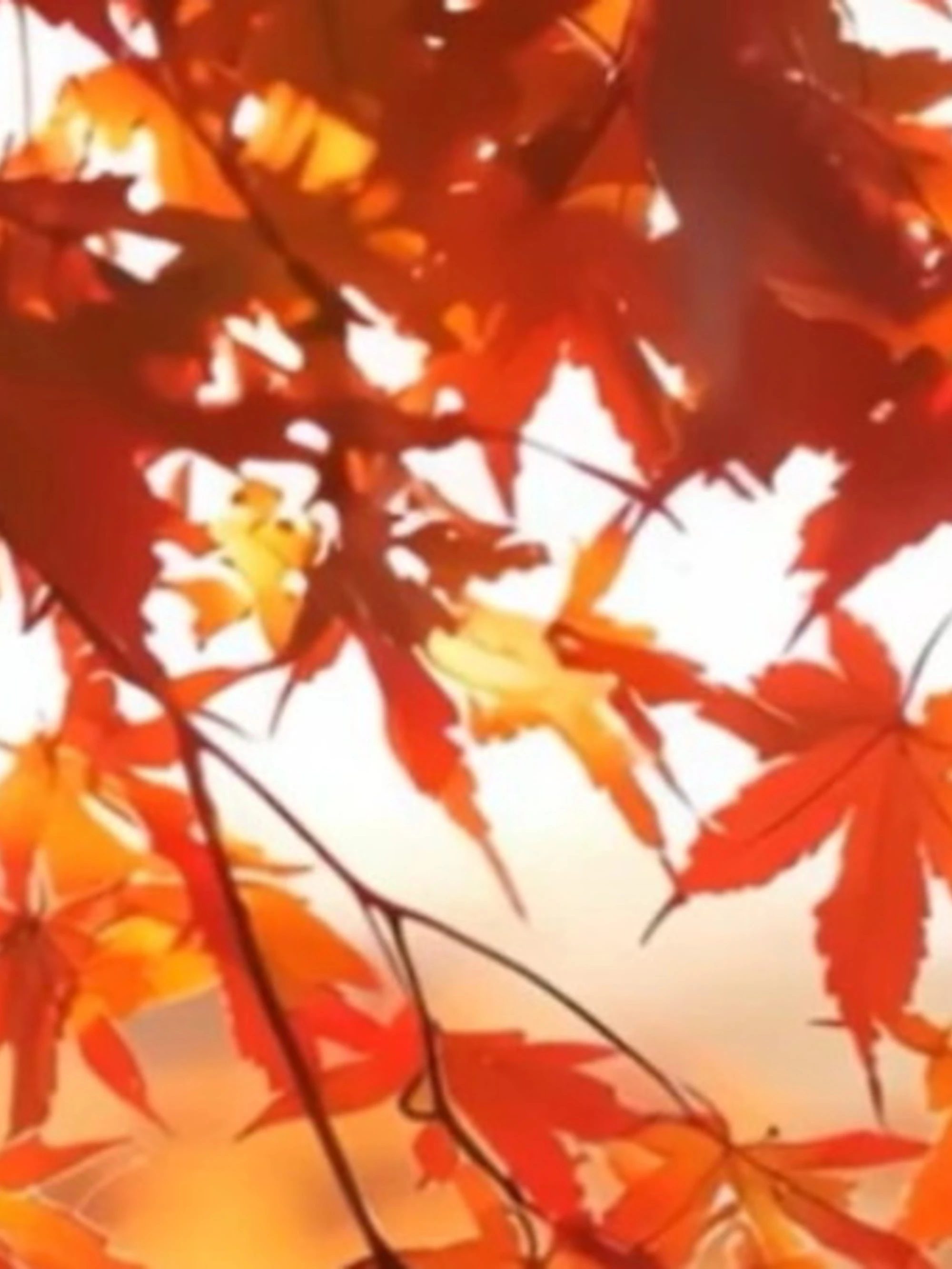 Meteo, Mario Giuliacci: arriva "l'estate di San Martino", clamoroso ribaltone