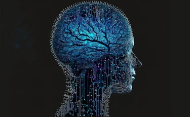Il cervello umano riscrive continuamente se stesso