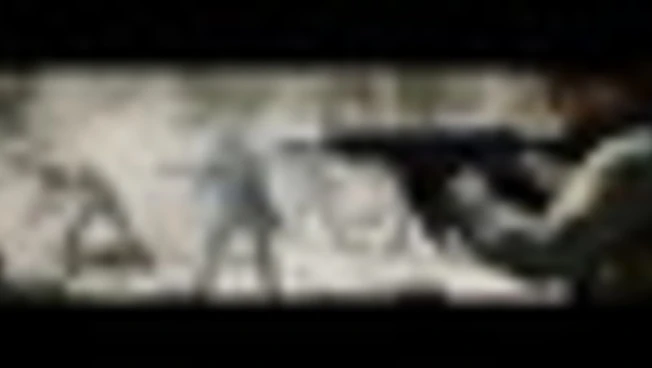 656x360