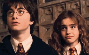 L'anatema Lgbt sul maghetto Harry Potter