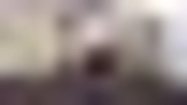 Al parco Le Cornelle di Valbrembo due rarissimi esemplari di okapi