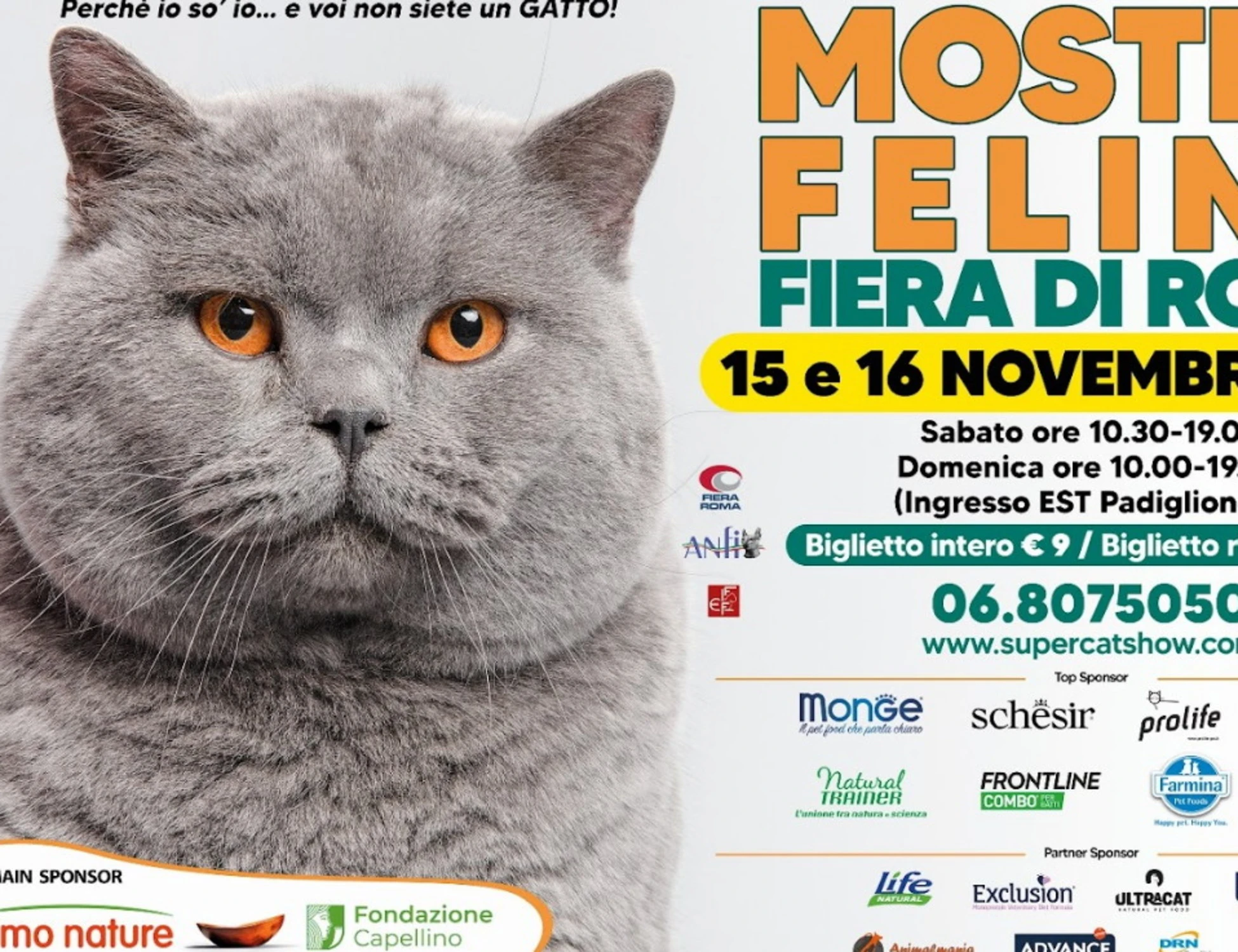 ANIMALI: TORNA A ROMA SUPERCAT SHOW