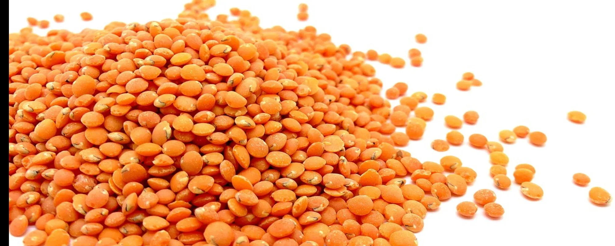 Ecco perché bisogna mangiare (sempre) le lenticchie