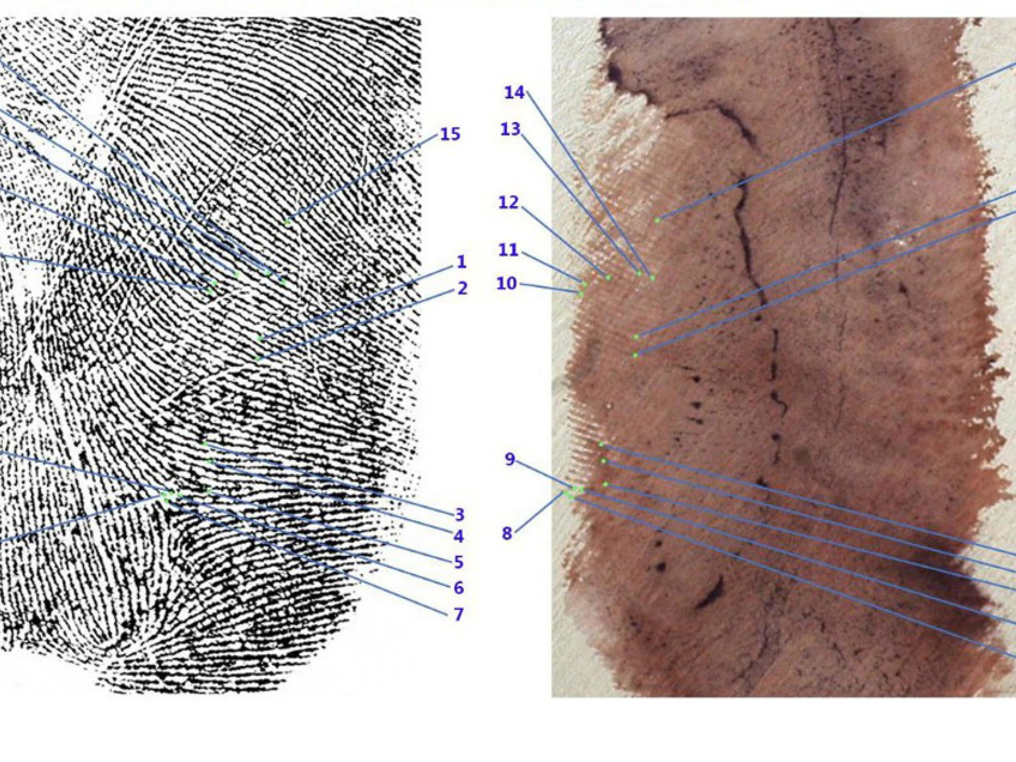 Garlasco, bomba sulla traccia 33: "Non si può escludere analisi"