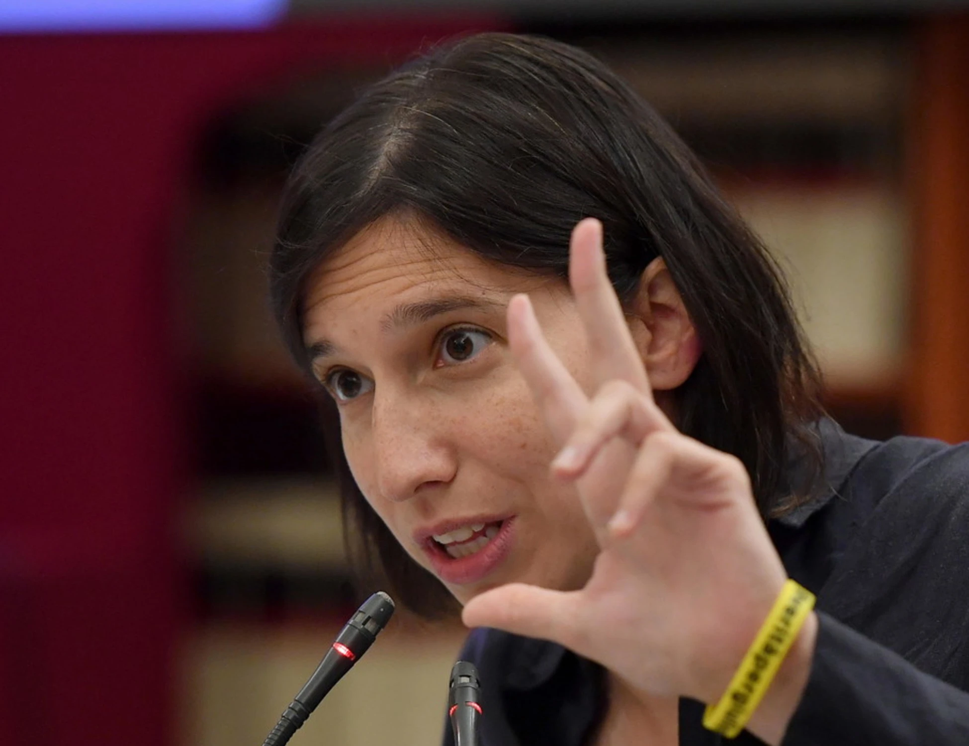 Elly Schlein candidata premier, cresce la fronda nel Pd: chi dice no