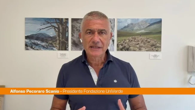 https://media.liberoquotidiano.it/v7Ofl5IymxFUjQ7iarJFTFfB4ugvNhN2WZAKlLwQIBc/width:800/quality:90/aW1hZ2VzLzIwMjYvMDkvMDcvMTQxMDM1ODUyLWJlMzZhYTFjLWRhM2MtNDQzOS05ZDIwLTU0ZDgyMjY4YzZlMy5qcGc.webp