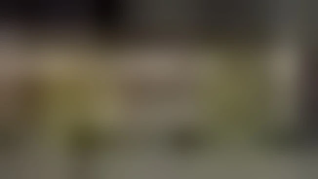 Le più belle immagini delle celebrazioni del Natale nel mondo