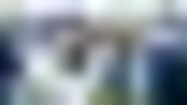 In Sassonia Anhalt il primo presidente del Parlamento regionale AfD