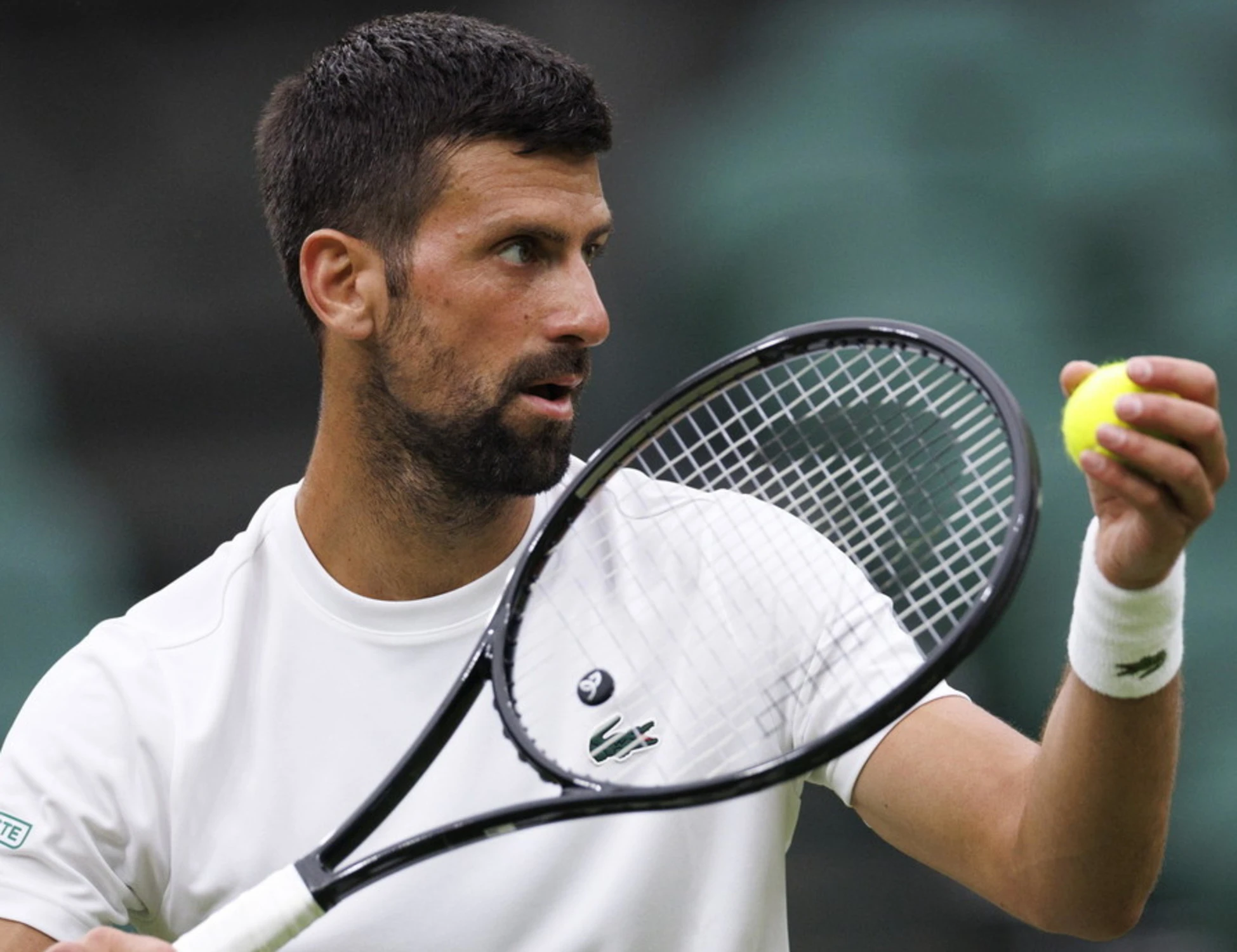 Jannik Sinner, il sospetto di Djokovic: "Cosa sorprende su Panichi e Badio"