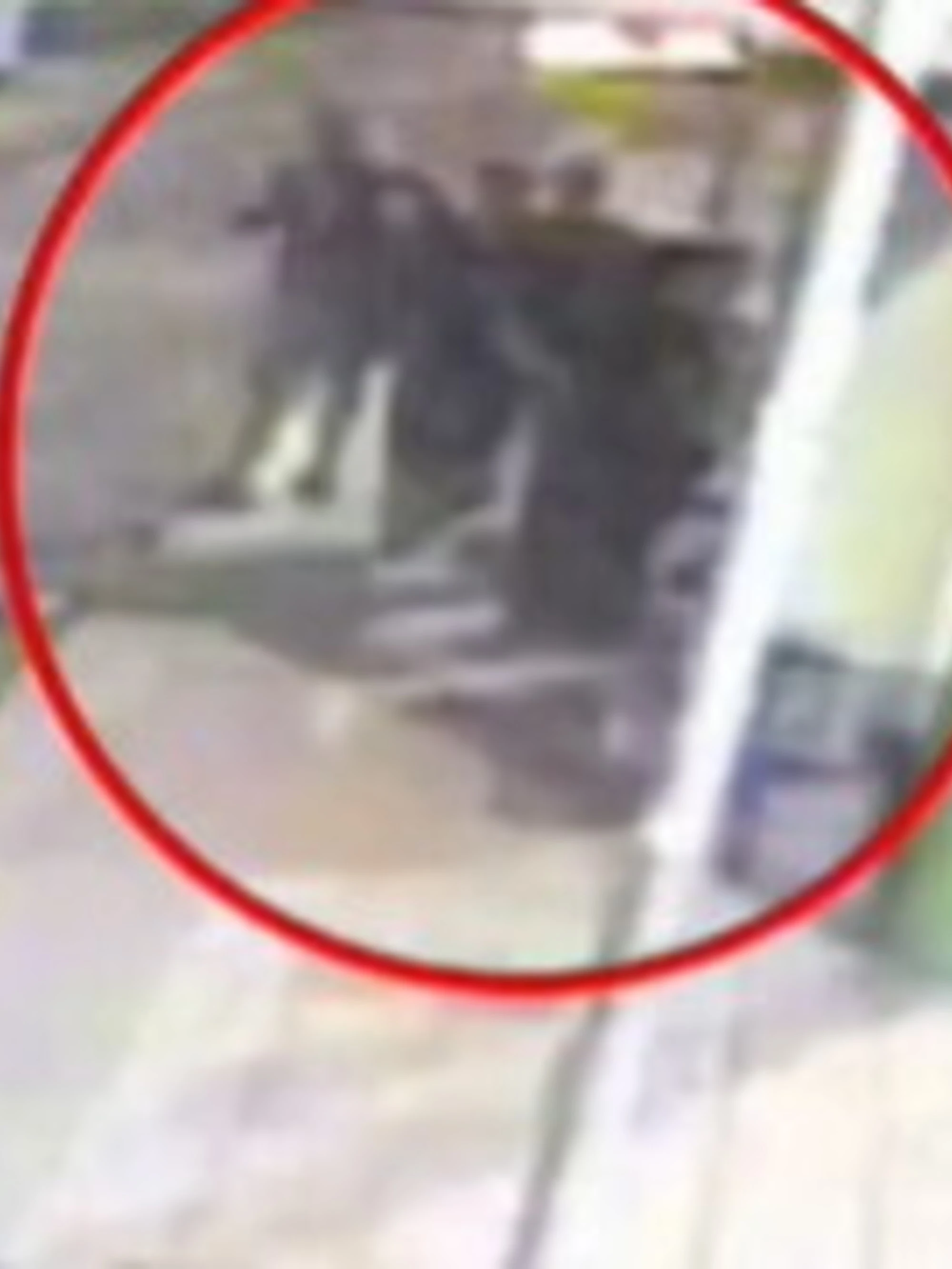 Milano, belve 16enne accoltellano un uomo: il video-choc