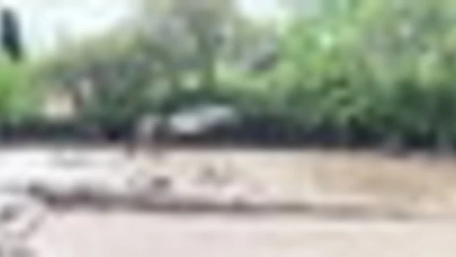 Cile, violenta alluvione a Santiago: strade trasformate in fiumi