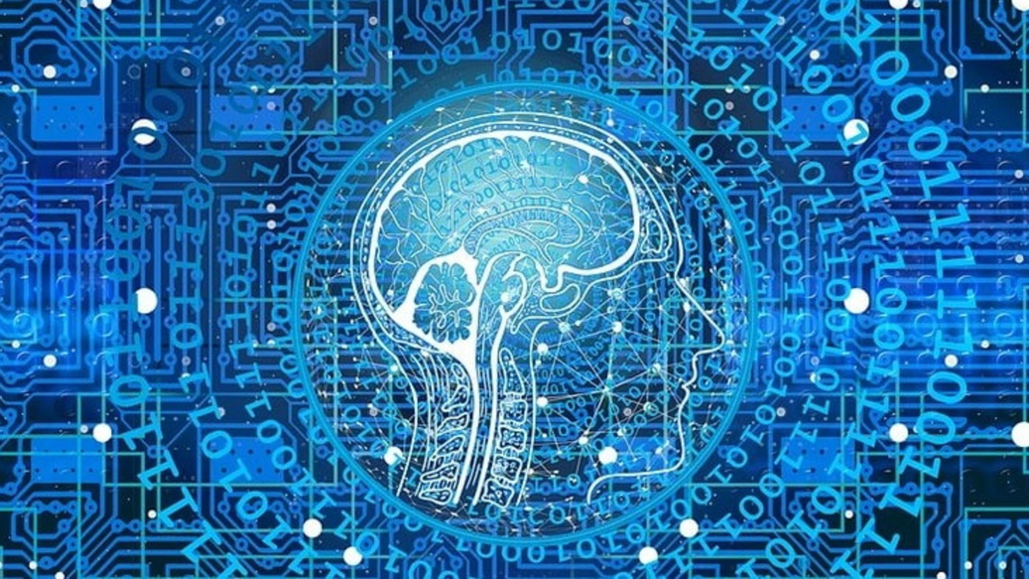 Le 12 fatiche dell'Intelligenza Artificiale: chi sta addestrando chi?