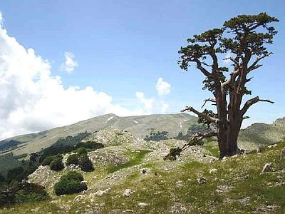 Pollino People Experience, progetto per la promozione del parco