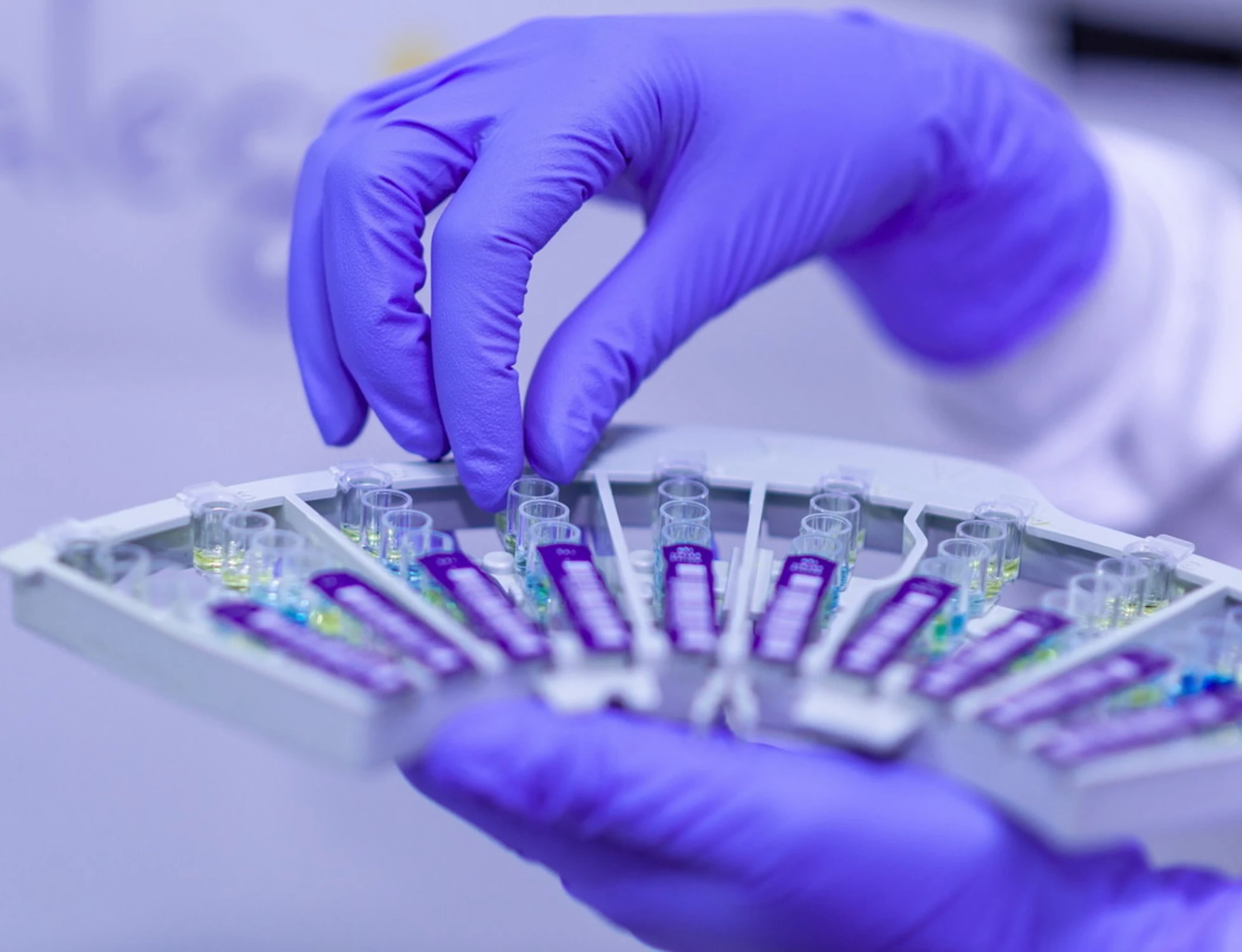 Ossigeno, la chiave per far ricrescere gli arti agli uomini