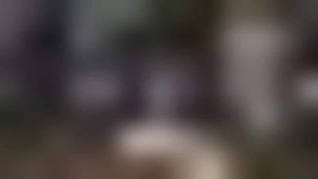 https://media.liberoquotidiano.it/vYpfZ3wUzc3Gcp0CdoB3IU2F-tTOGcL8c8arjkIpIDI/width:800/quality:90/aW1hZ2VzLzIwMjYvMDcvMTQvMTYzOTE5MzgyLWM3OTJkZmZlLTFiNGUtNDIwZS04NGRlLWFmZDM1Nzk0M2NiMi5qcGc.webp