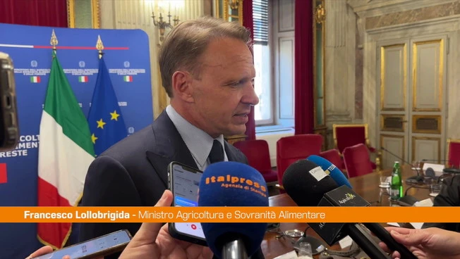 Agroalimentare, Lollobrigida "Controlli mirati per difendere il Made in Italy"