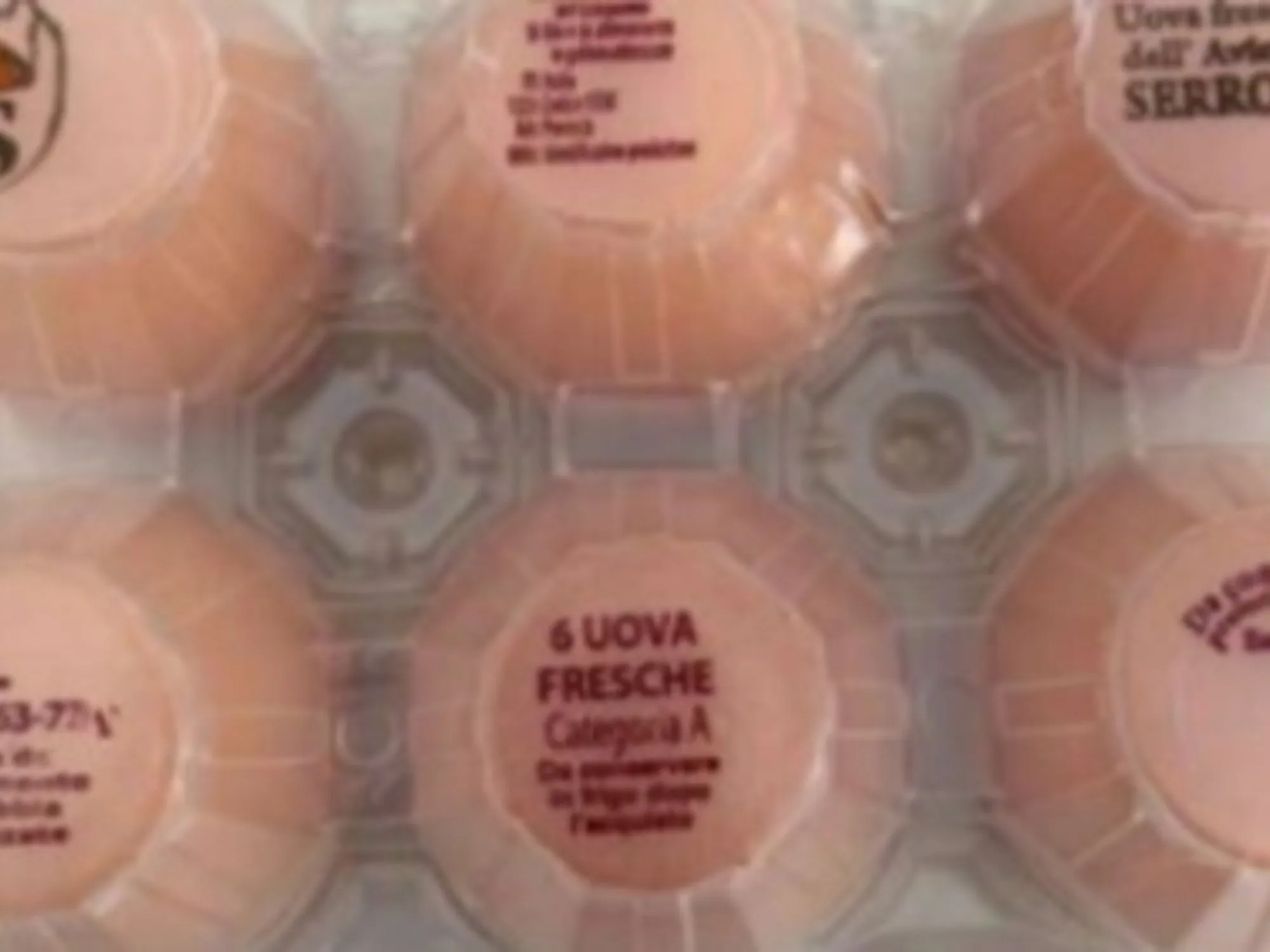 Leggi l'articolo: Uova, pericolo microbiologico: ecco il prodotto ritirato