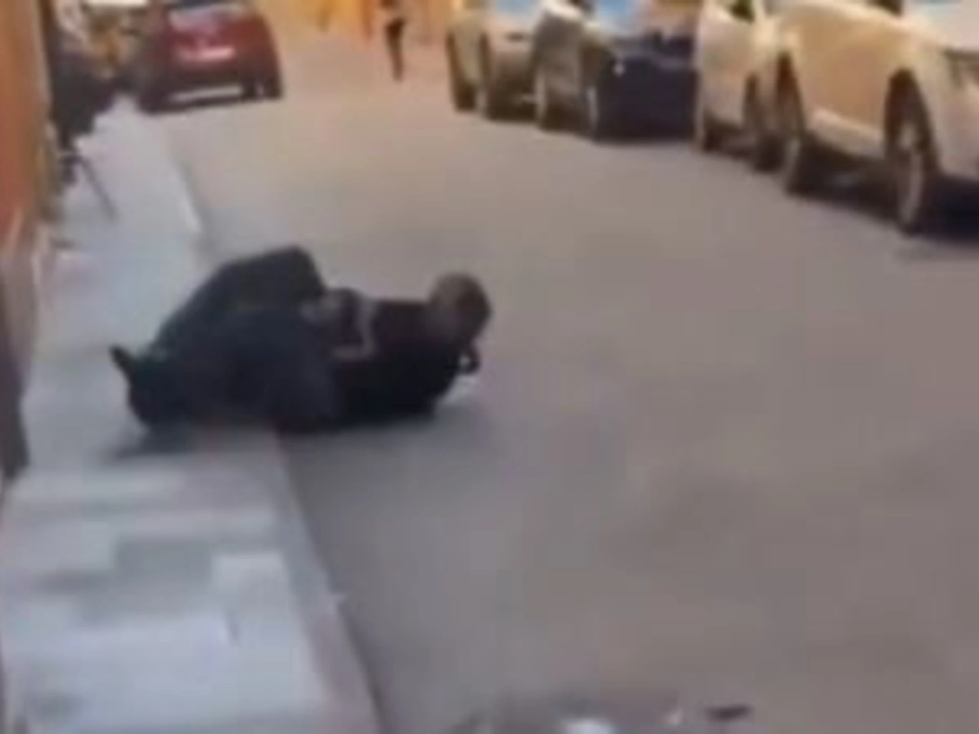 Modena, il video di Luca Signorelli che blocca Salim El Koudri: l'urlo e il coltello