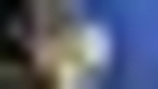 https://media.liberoquotidiano.it/vjojj4XEzzhnl7jxPbtfeEhSx2IM3J8sXb7Us4Bxths/width:800/quality:90/aW1hZ2VzLzIwMjUvMDkvMDUvMTQxNzIzNjYwLWUyYjJkYmI2LWNiZTktNGE3Ni04NTgwLTNhODVmOTA3YTIxOC5qcGc.webp