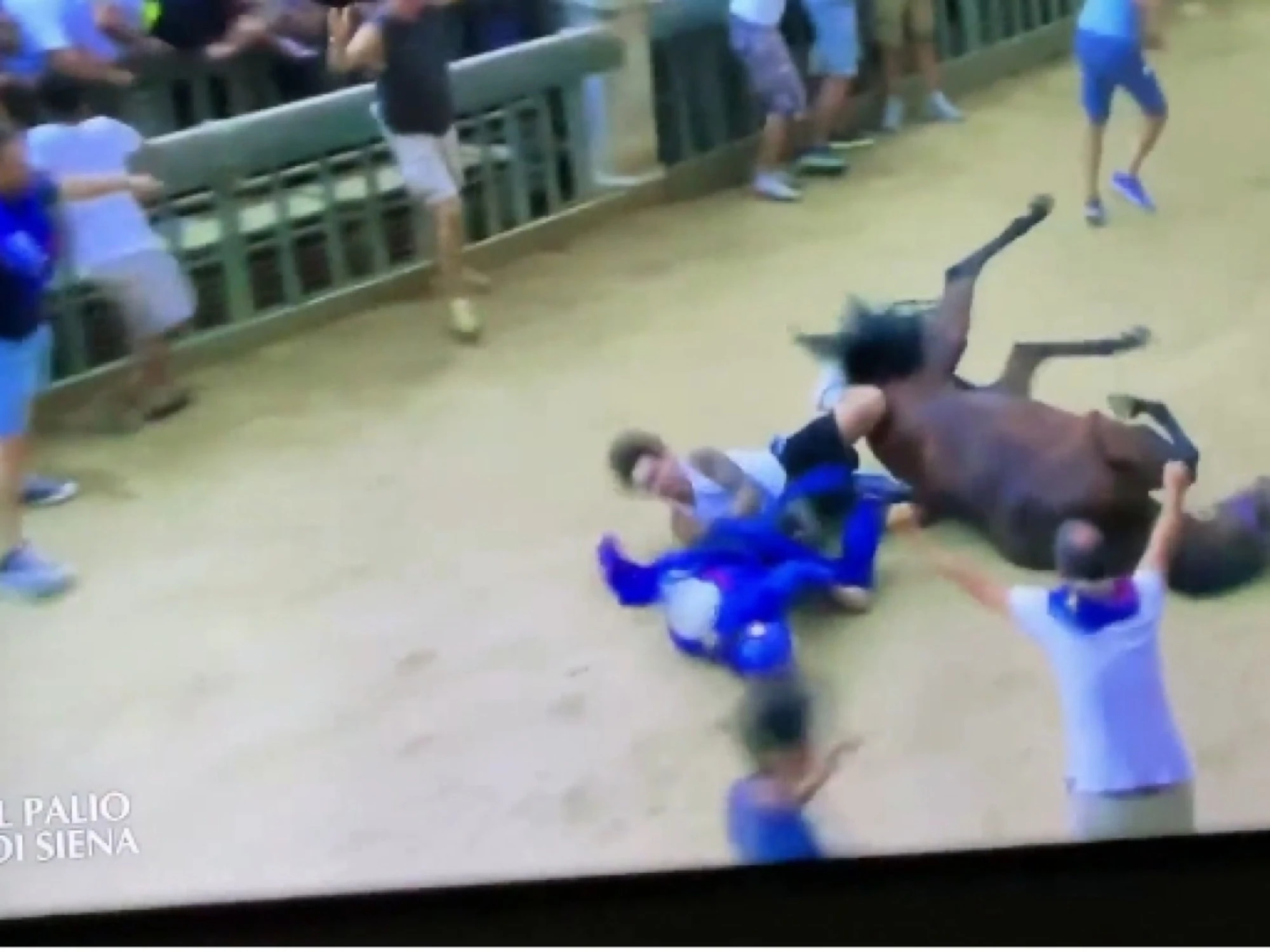 Il video-choc del Palio di Siena: che fine fanno il cavallo e il fantino