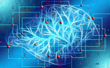 Cervello, le cellule del sangue che compromettono la memoria