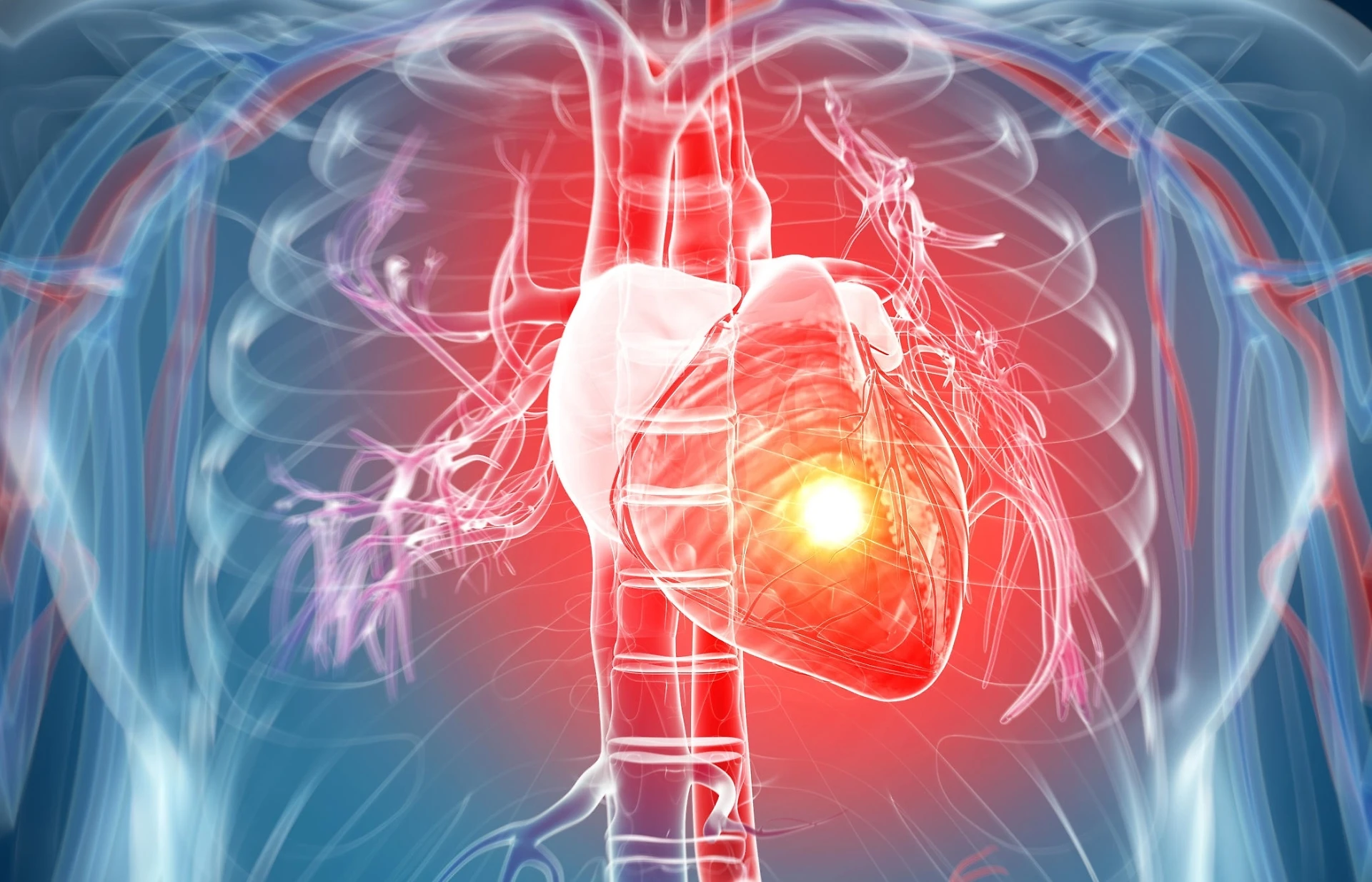 Infarto, non solo dolore al petto e braccio sinistro: secondi preziosi, il sintomo che ti salva la vita