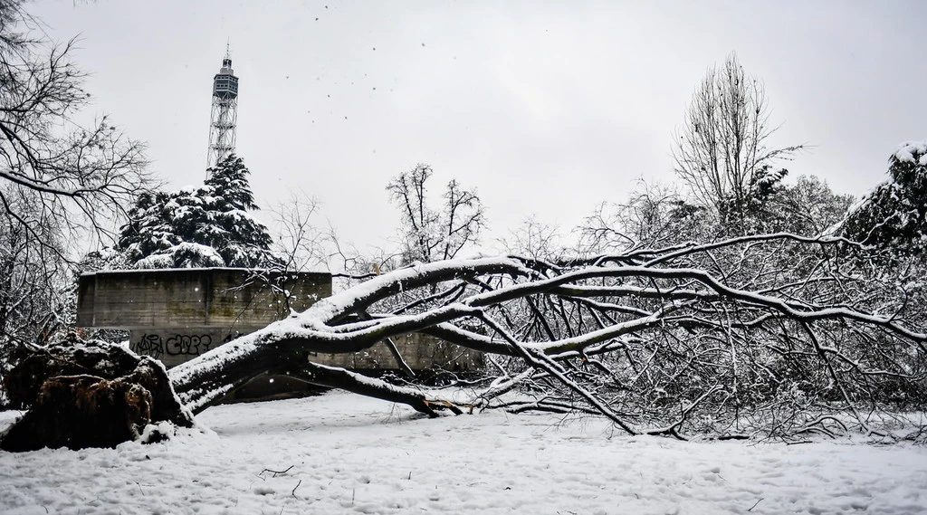 Vaccino, nevicate in Italia: ritardi e slittamenti nelle consegne delle prime dosi