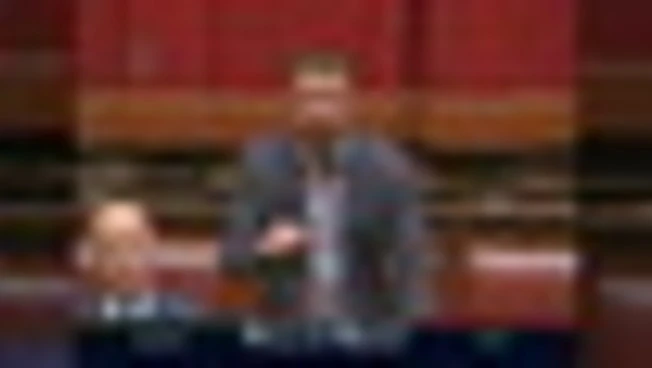 Lite Pozzolo-Ascani su "signor presidente". Lui: 'Lo dice la Crusca'