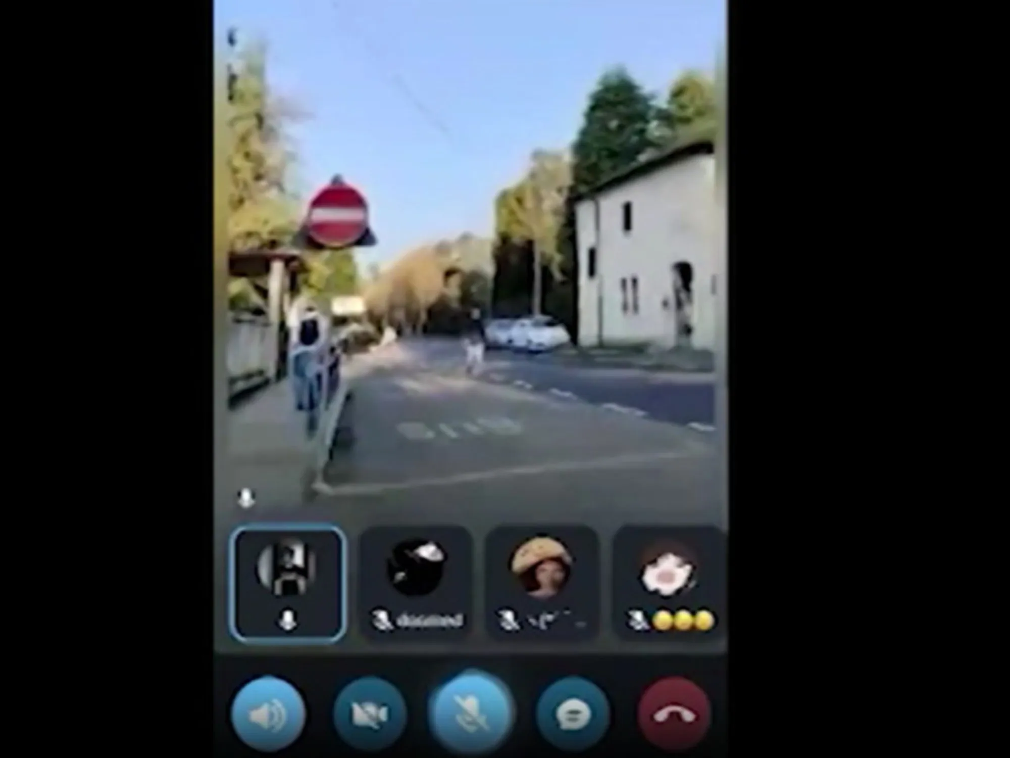 Non solo la prof: chi voleva uccidere a martellate il 13enne