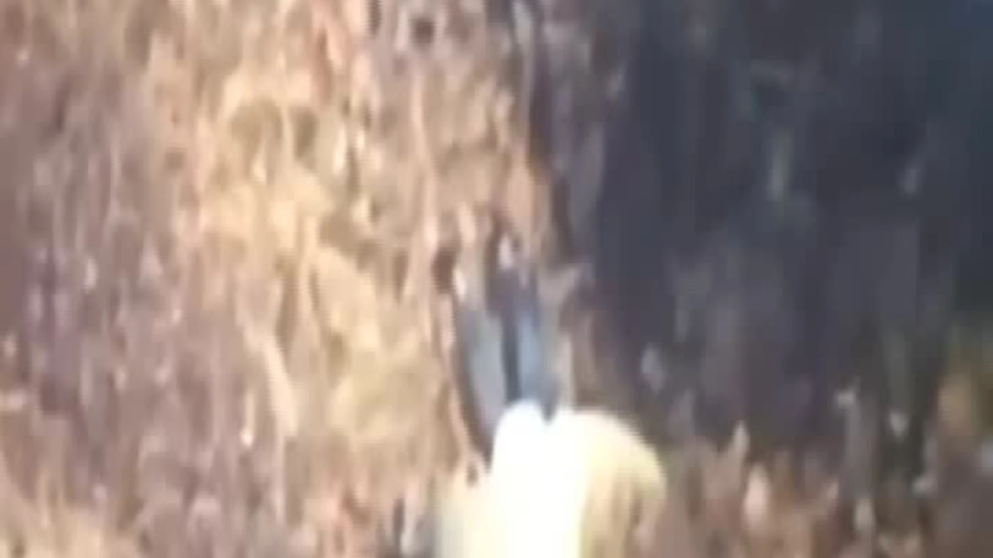 Messico: catturato capo narcos erede di 'El Mencho', le immagini del blitz