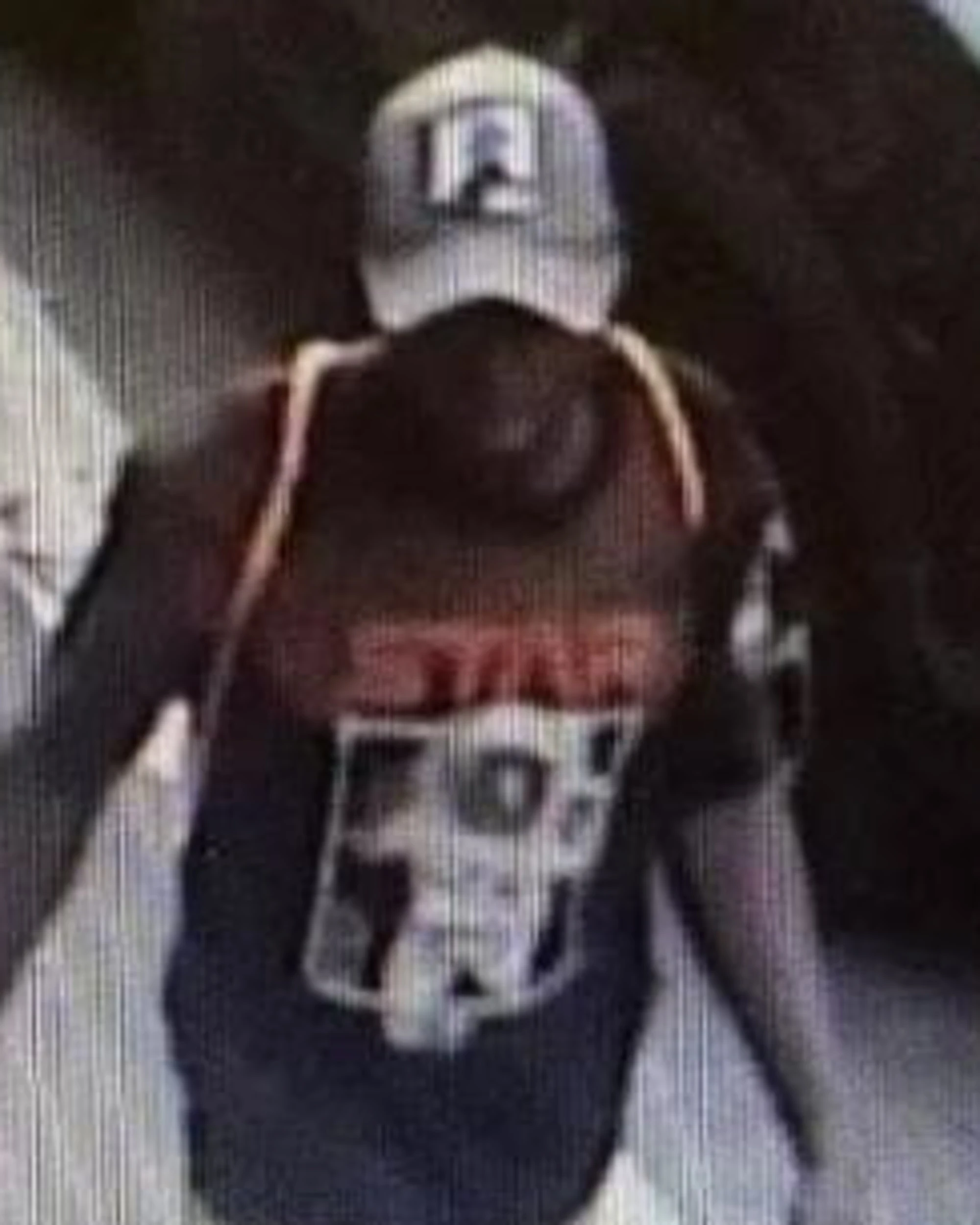 Stupro a Roma, il gambiano ha violentato un'altra donna prima dell'arresto