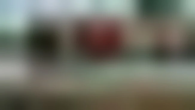 Usa, l'Ice negli aeroporti. Trump: se serve anche la Guardia Nazionale