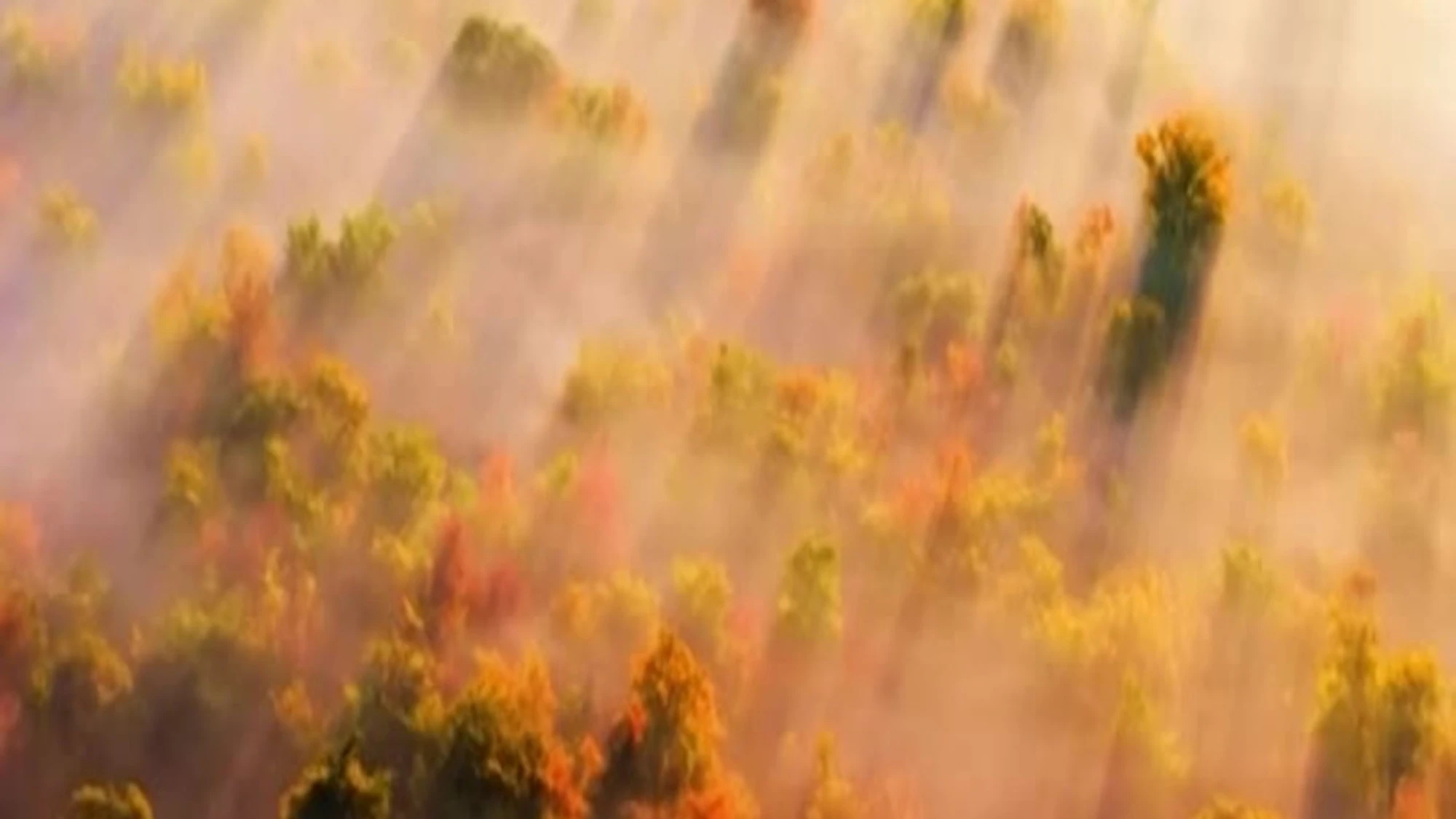Cina, nebbia e nuvole attraversate dai raggi del sole: il paesaggio diventa da sogno