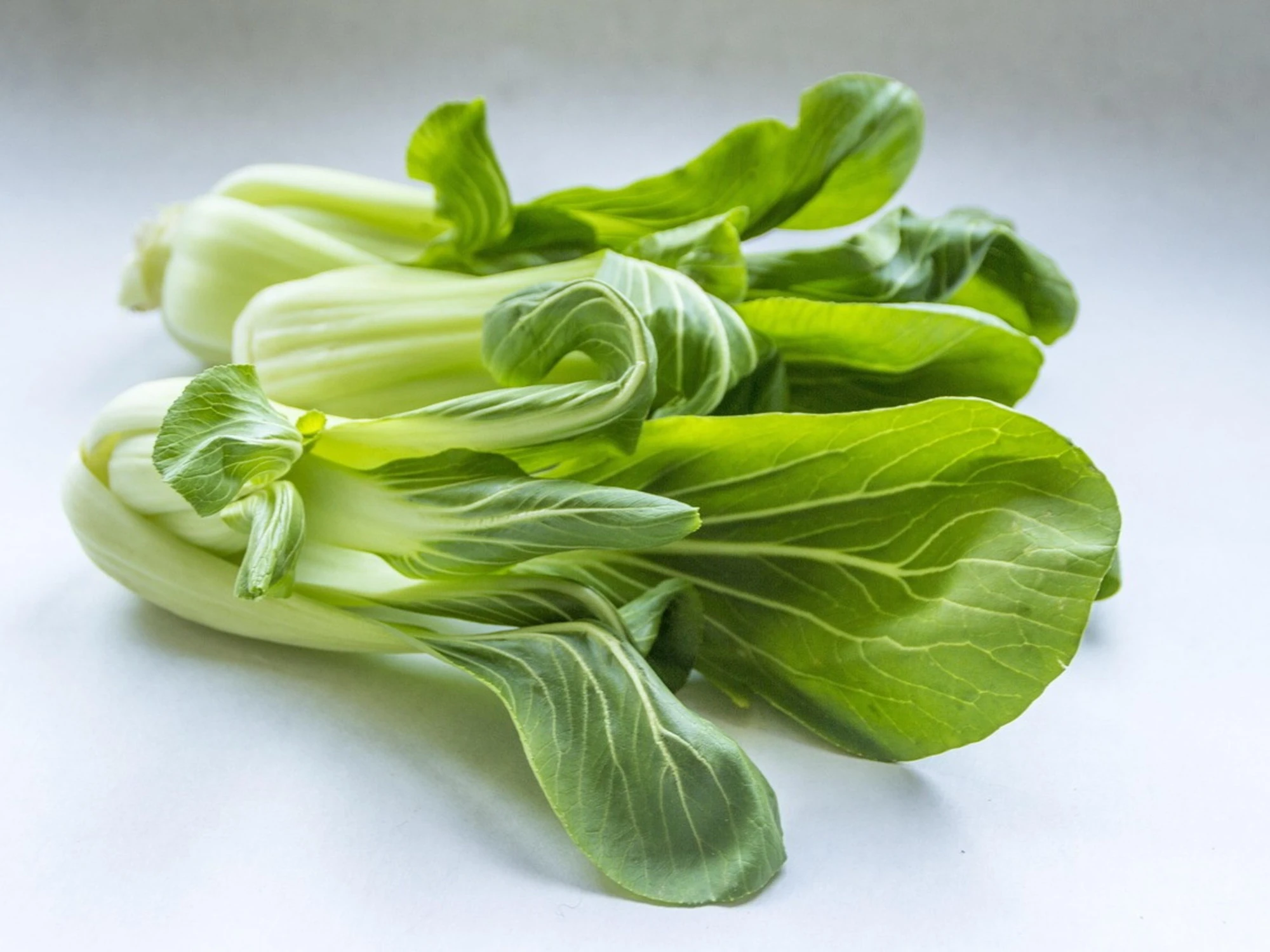 Pak-choi e salute delle ossa: gli effetti del cavolo cinese