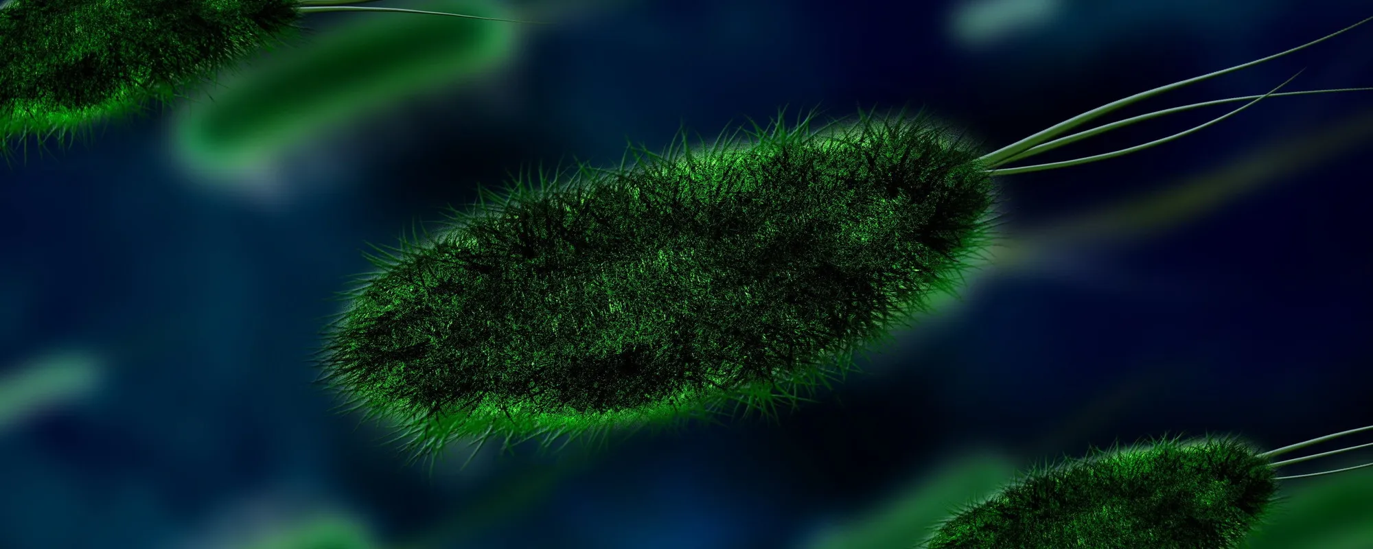 "Danni permanenti alla vista": virus marino passa all'uomo, non era mai accaduto in precedenza