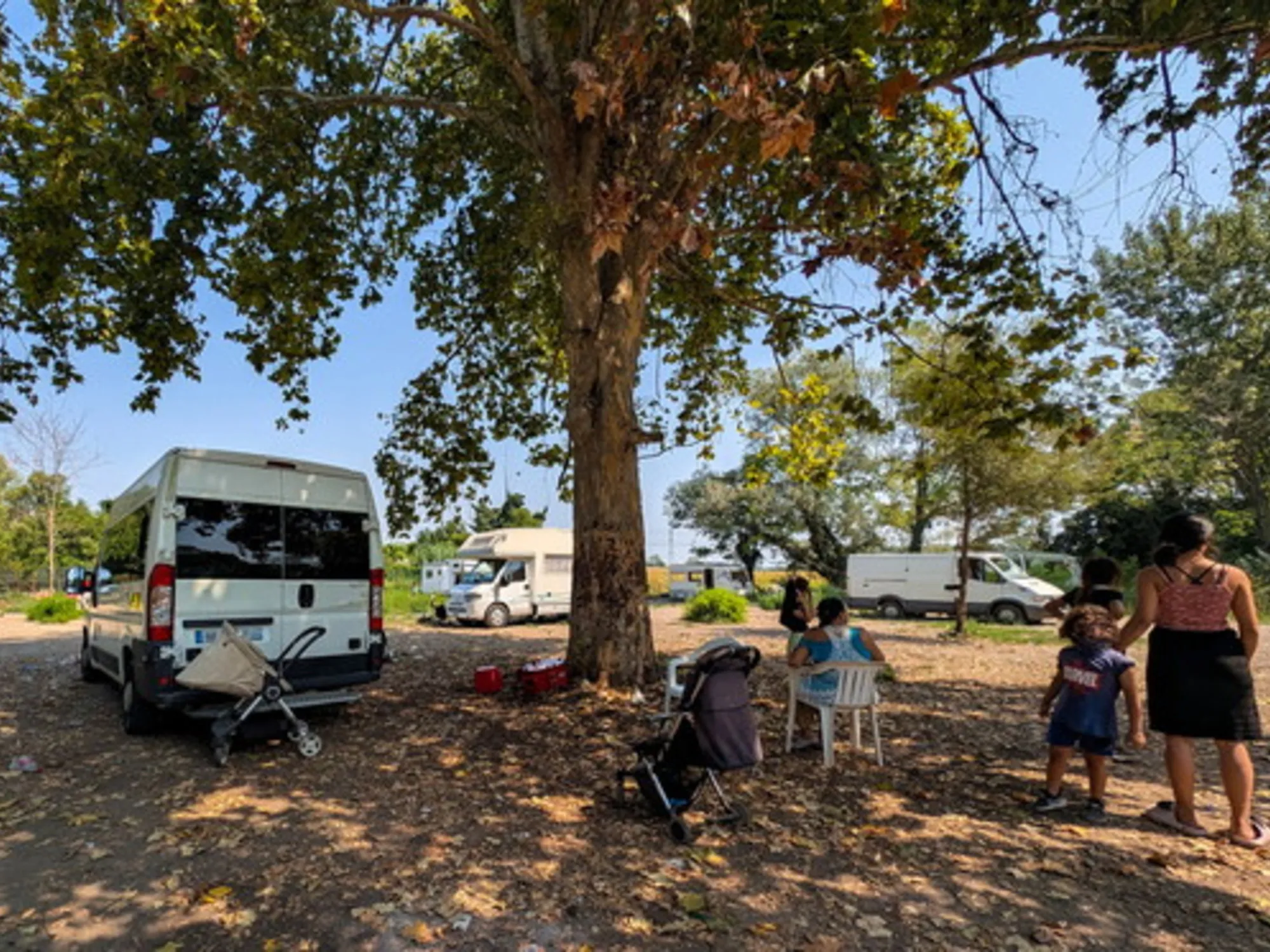 Leggi l'articolo: L'ong con i baby pirati: &quot;Vittime del governo fascista&quot;&nbsp;