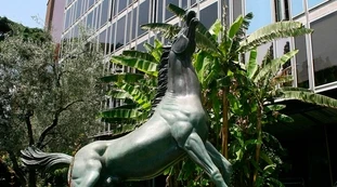 Striscia la Notizia terremota la Rai: cosa è stato rubato dagli uffici