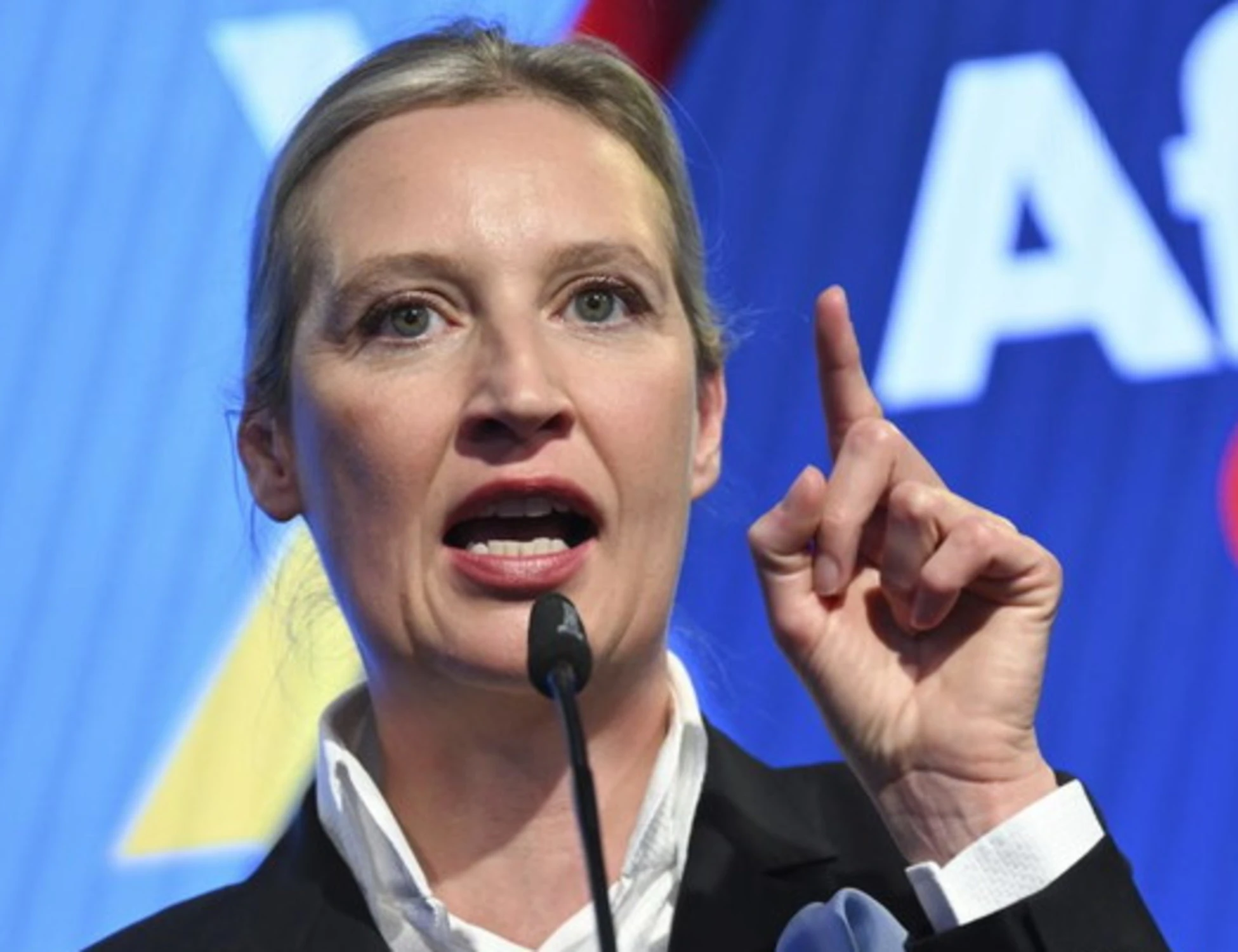 Germania, Afd dopo il flop di Merz: "Ora nuove elezioni"