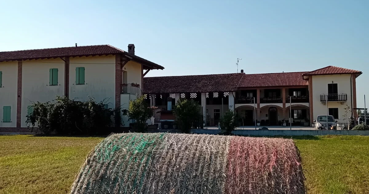 Dal campo alla tavola: sapete cosa mangiano i vostri bimbi? Alla scoperta dei grani antichi e non solo..