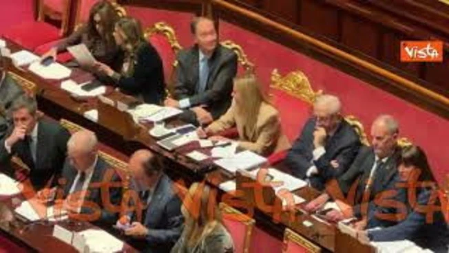 Leggi l'articolo: Il gesto di Meloni durante l'intervento di Maiorino (M5s) al Senato
